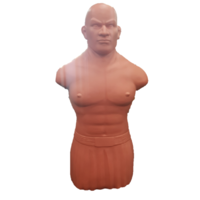 Rubber Torso/Punching Bob