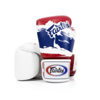 Fairtex Thai Pride Boxing Gloves (BGV1)