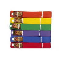 MSA - Martial Arts Belt - Full Colour