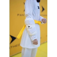 PANTHEON - Arm Guards