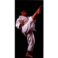 SHUREIDO - Karate Gi/Uniform - New Wave 2