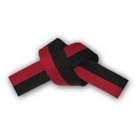 MSA - Martial Arts Belt - Red/Black