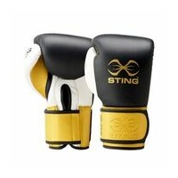 STING - Evolution Bag/Fight Glove