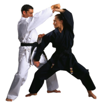 WARRIOR - Meijin Gold Label Karate Gi/Uniform