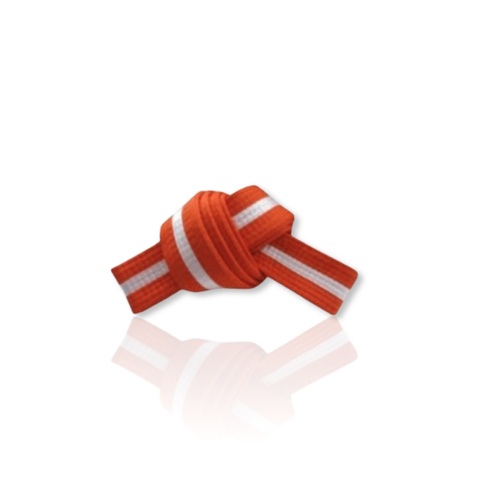 Action - Martial Arts Belt - Orange with White Stripe - Size 0/200cm