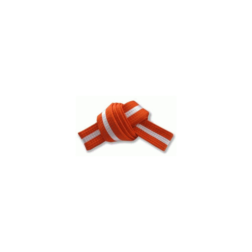 Martial Arts Belt - Coloured with White Stripe