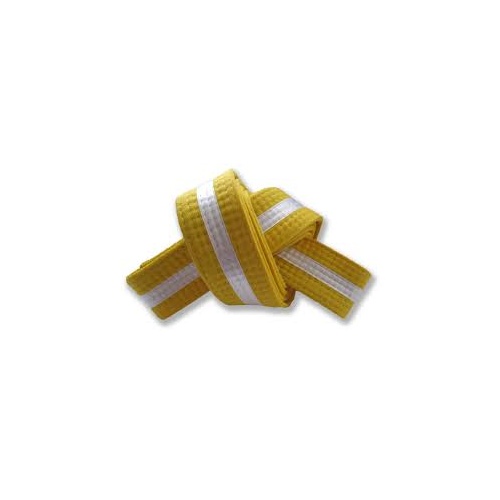 Martial Arts Belt - Coloured with White Stripe
