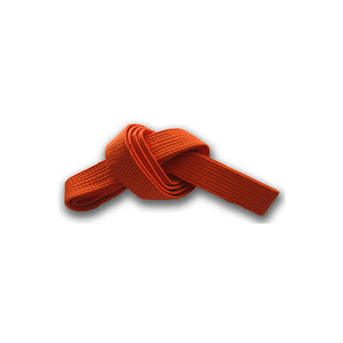 ECONOMY - Martial Arts Belt - Full Colour Orange - Size 4/280cm 