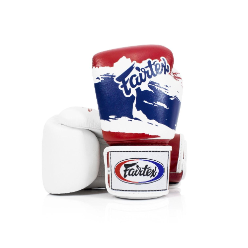 Fairtex thai pride gloves top