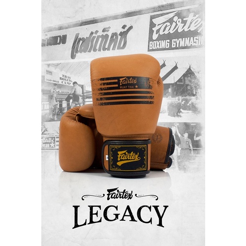 FAIRTEX Legacy Boxing Gloves (BGV21) - 14oz